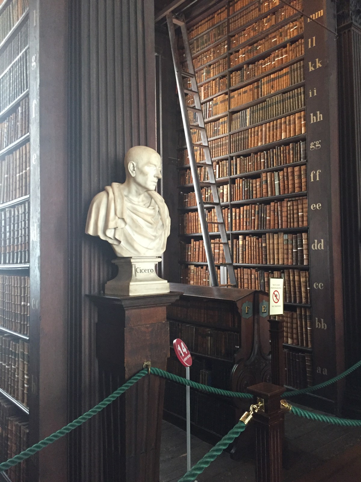 Elevate the Discourse